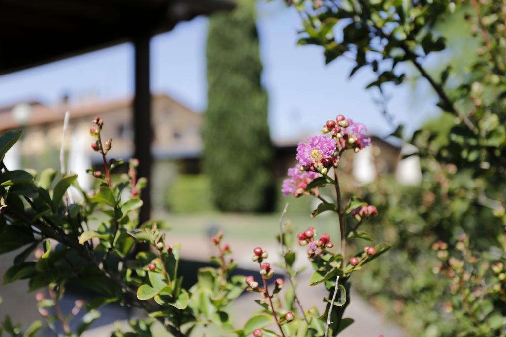 Il Poeta Contadino Country House Ripa Exterior foto